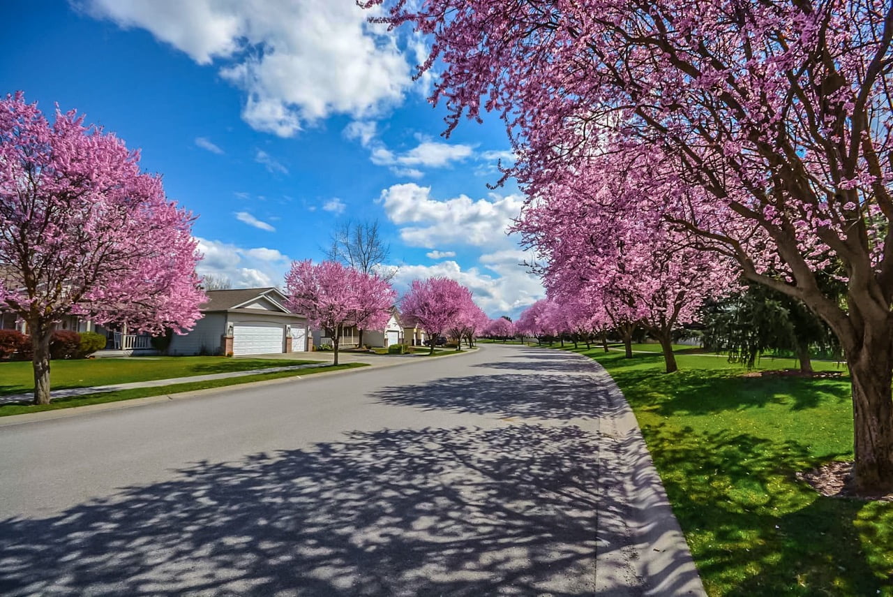 best time to sell your house