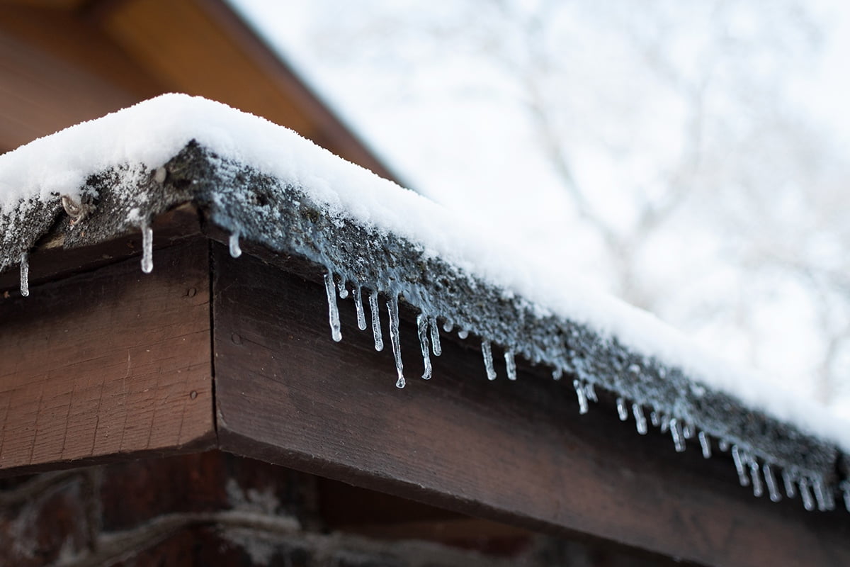 winter home